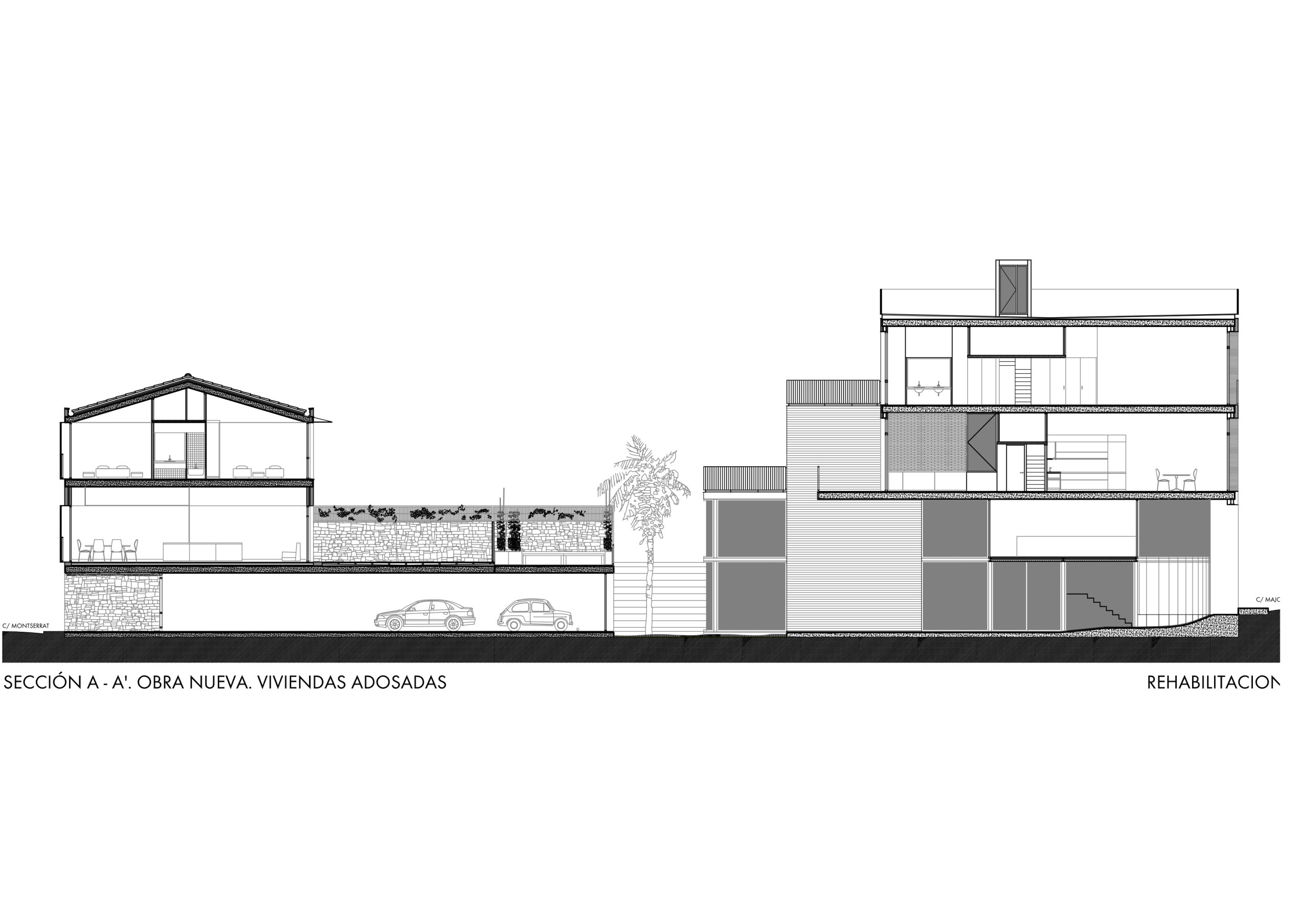 alz-secc Model (1)