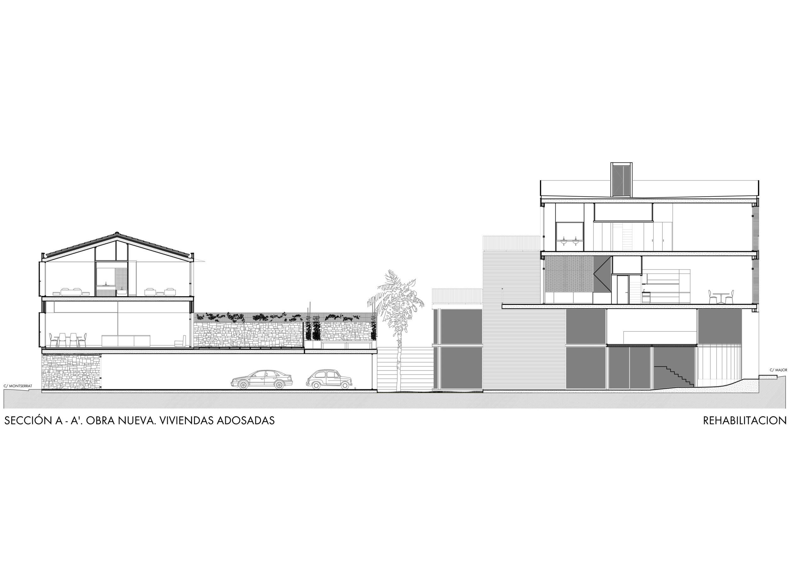 alz-secc Model (1)